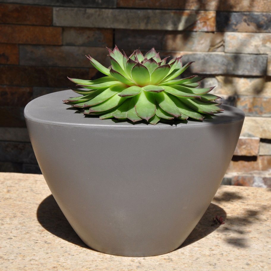 Vaso Oval Colors
