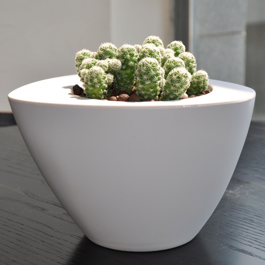 Vaso Oval Colors