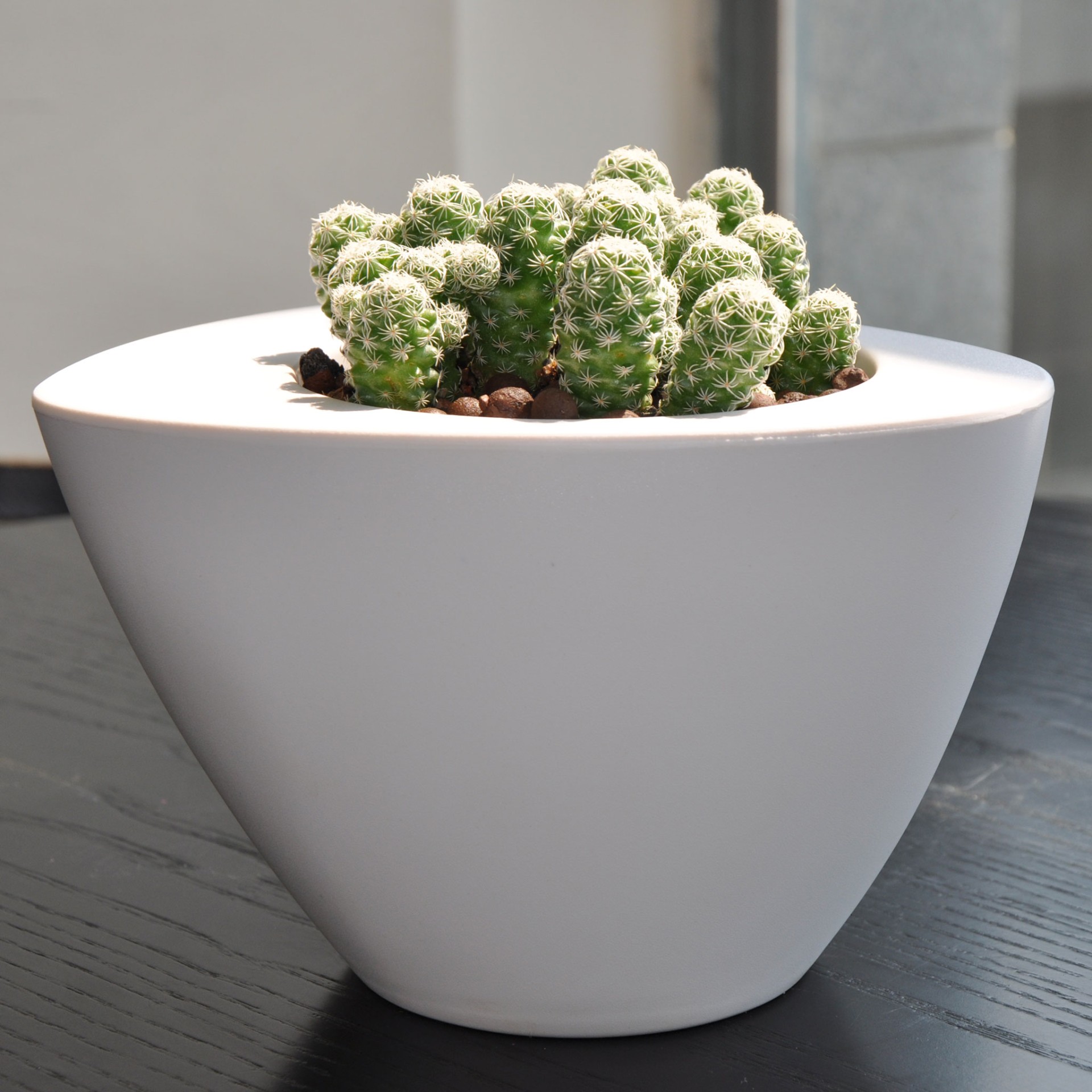 Vaso Oval Colors