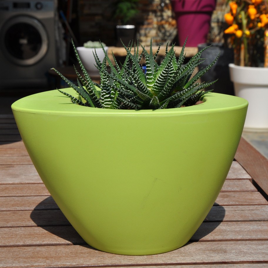 Vaso Oval Colors