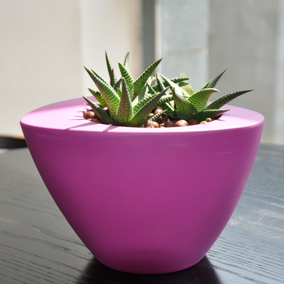 Vaso Oval Colors