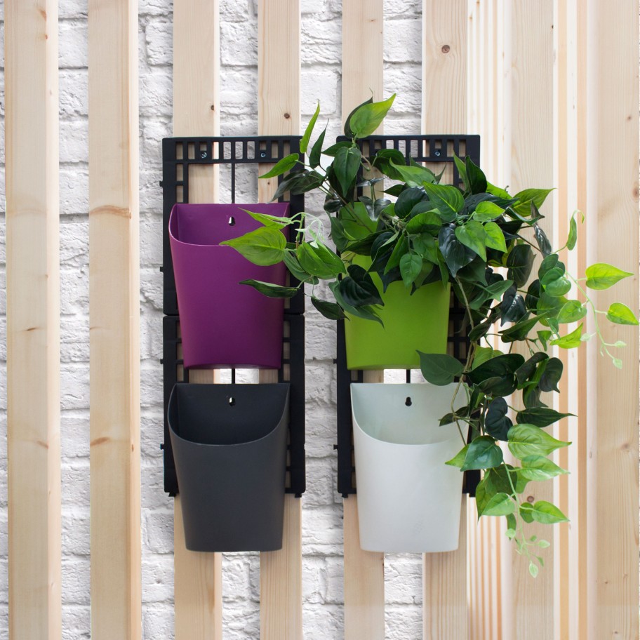 Conjunto 4 Vasos Colors