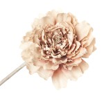 Flor Artifical Peónia
