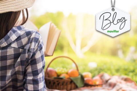 5 artigos Moviflor para celebrar o verão com um piquenique