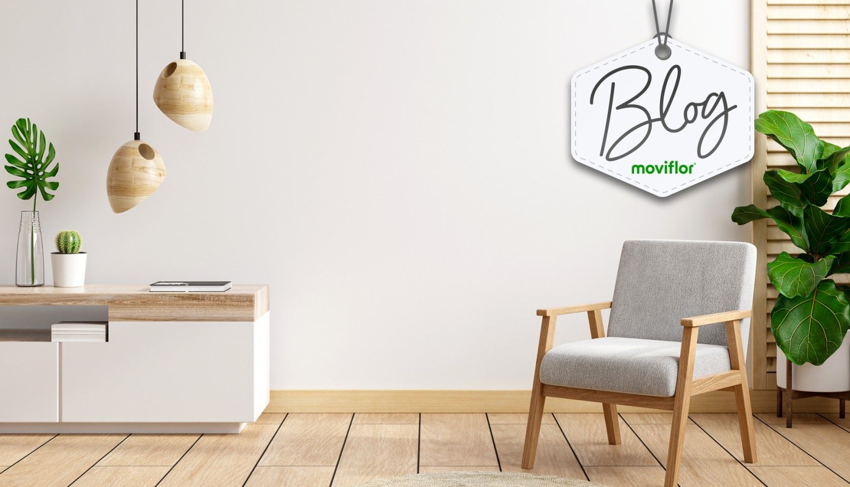 Poltronas e cadeires Moviflor para decorar e relaxar
