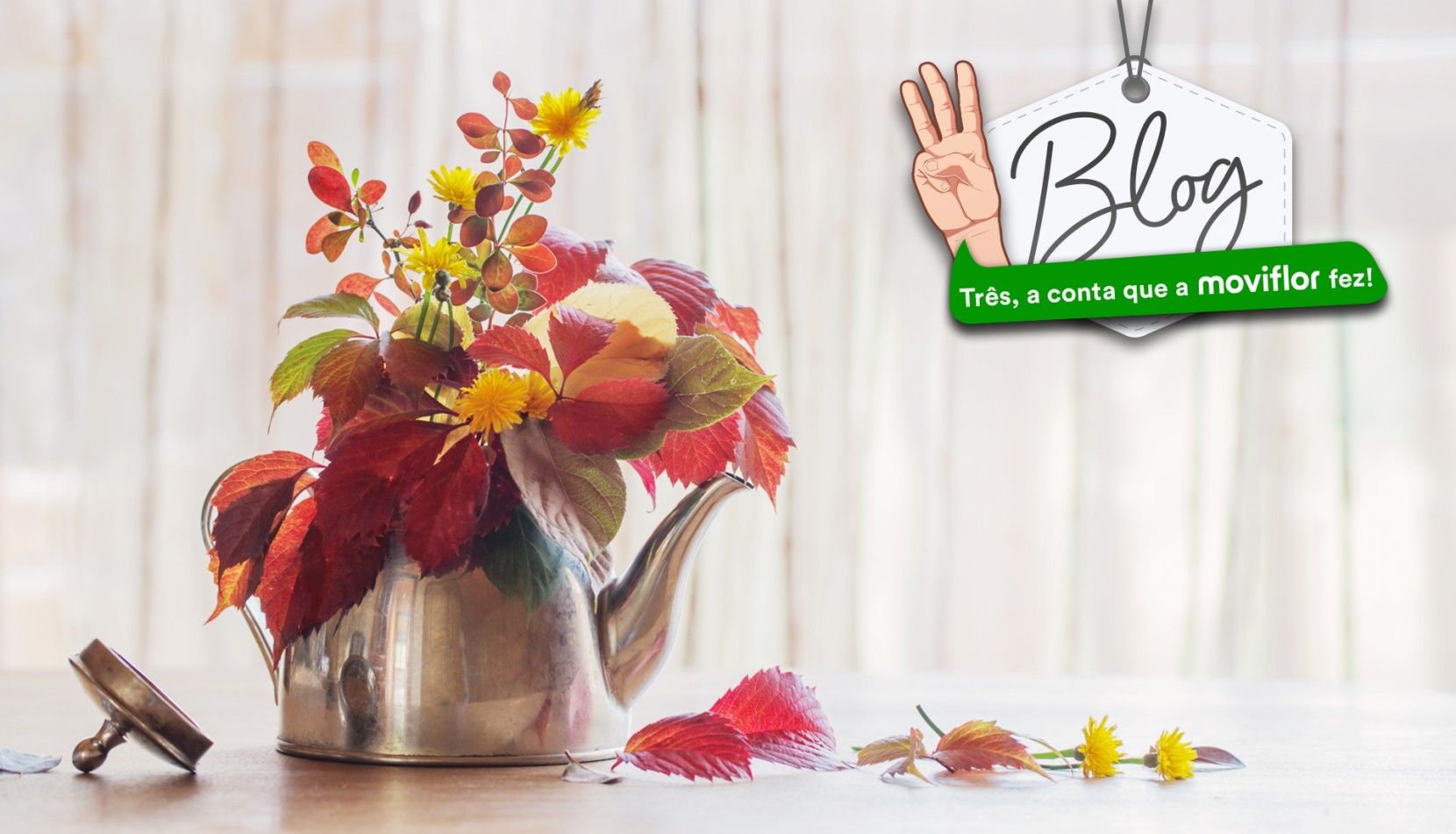 3 dicas para trazer o Outono  decorao da sua casa