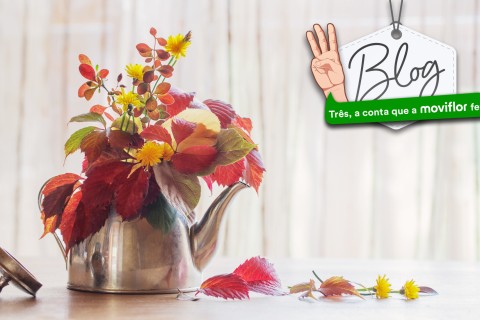 3 dicas para trazer o Outono à decoração da sua casa