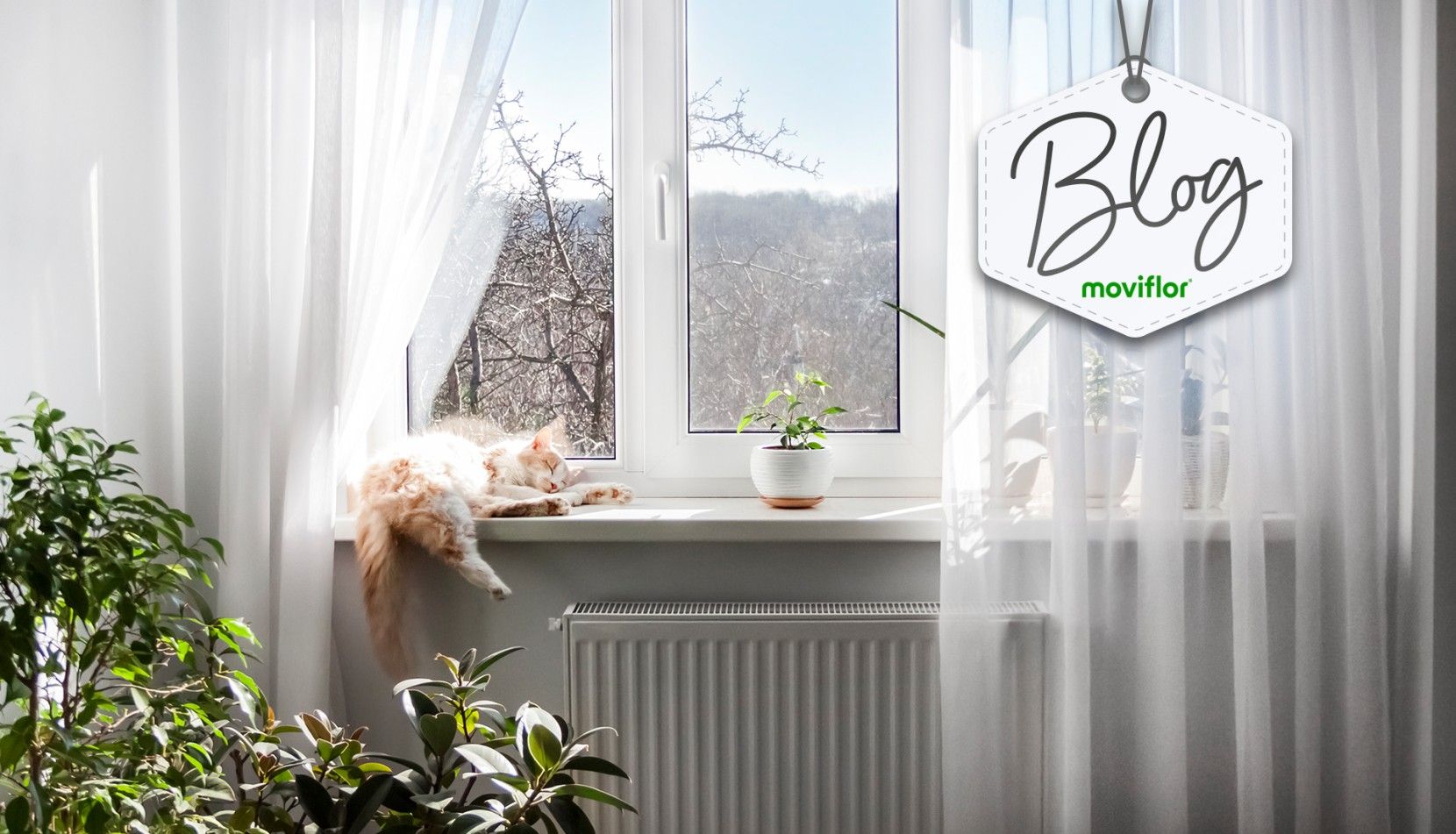 7 formas de aproveitar ao mximo a luz natural dentro de casa