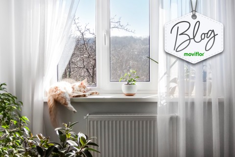 7 formas de aproveitar ao máximo a luz natural dentro de casa
