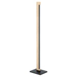 Candeeiro de Pé LED Eglo Camacho STL/1