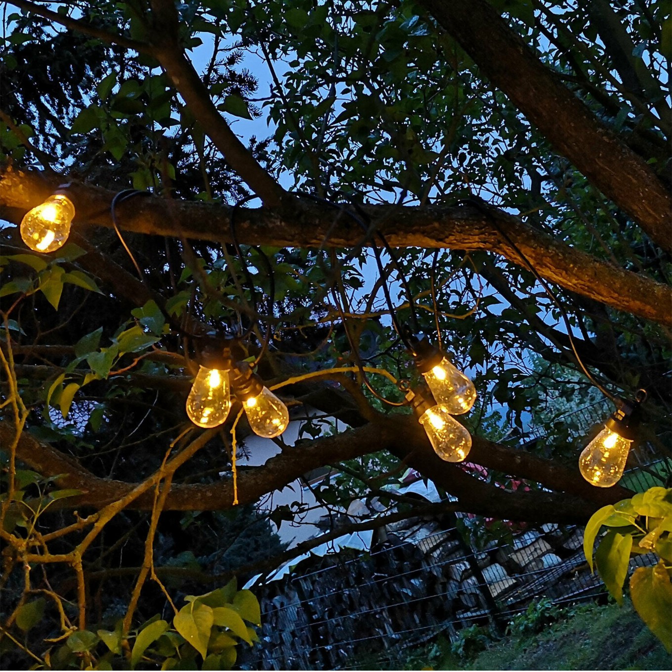 Luzes de Festa 20 L�mpadas Led