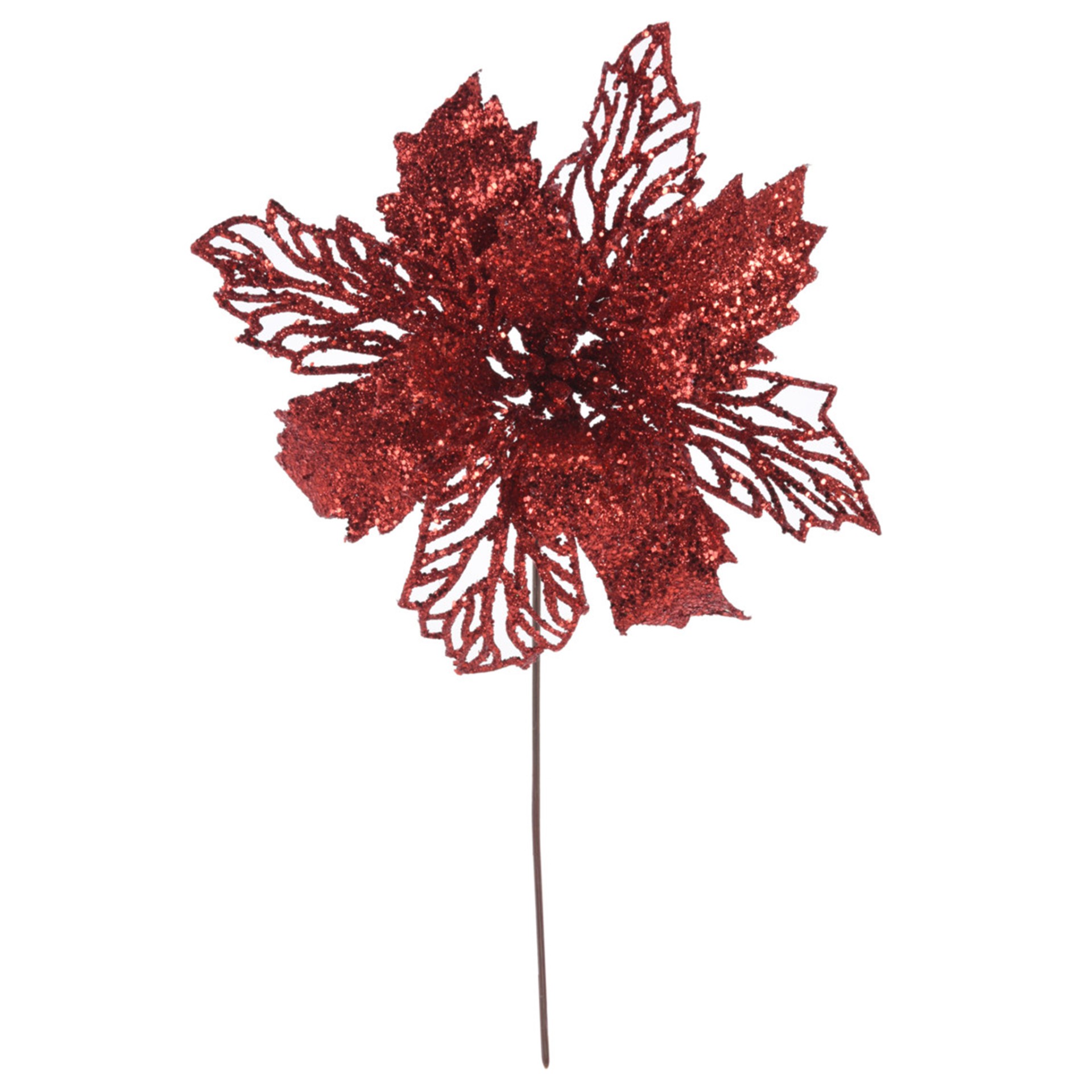 Flor Estrelicia Sortida