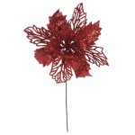 Flor Estrelicia Sortida