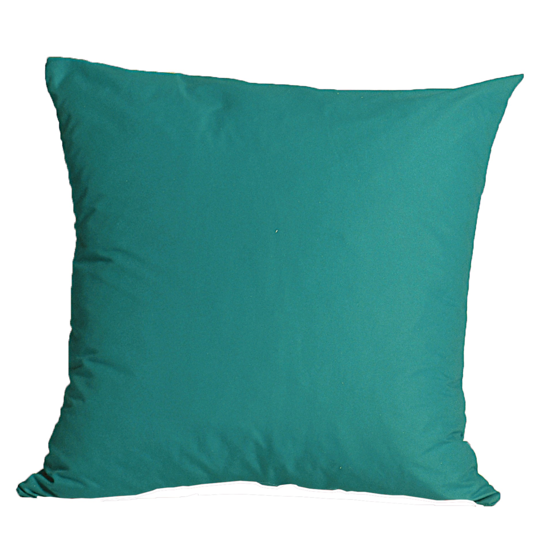 Almofada Decorativa Turtle 31