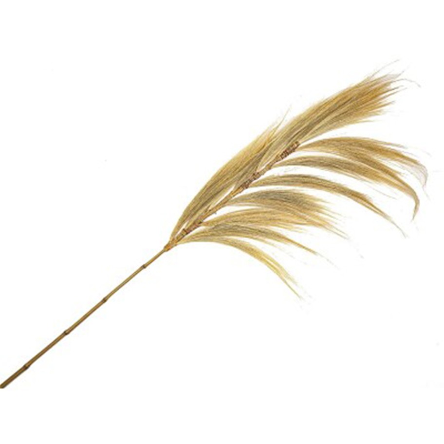 Pluma Decorativa Rayung/Bambu