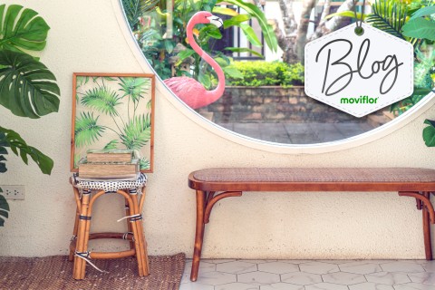Descubra com a Moviflor como criar uma decoração tropical em casa