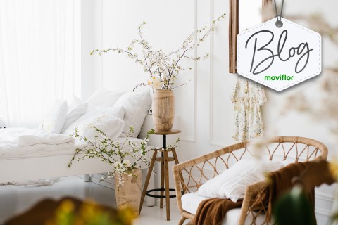 Paleta de Cores Calmantes: Crie um Ambiente Relaxante e Aconchegante em sua Casa