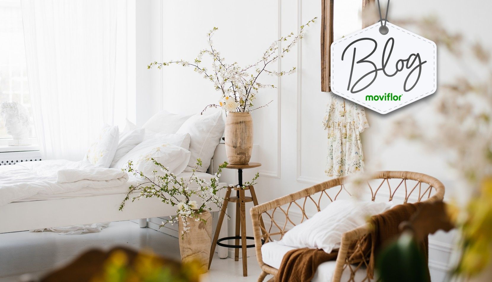 Paleta de Cores Calmantes: Crie um Ambiente Relaxante e Aconchegante em sua Casa
