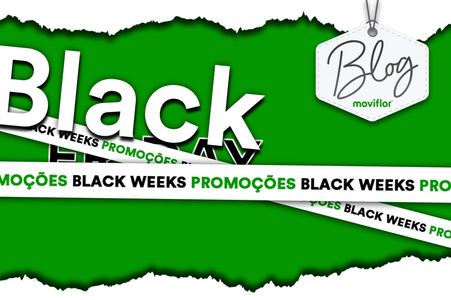 Vamos descobrir os segredos do Black November Moviflor?