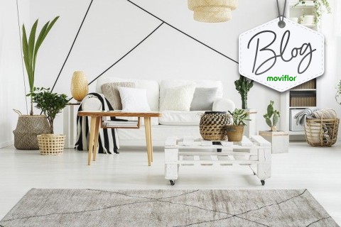 Vamos Desvendar as Principais Tendências de Decoração e Mobiliário para 2024?