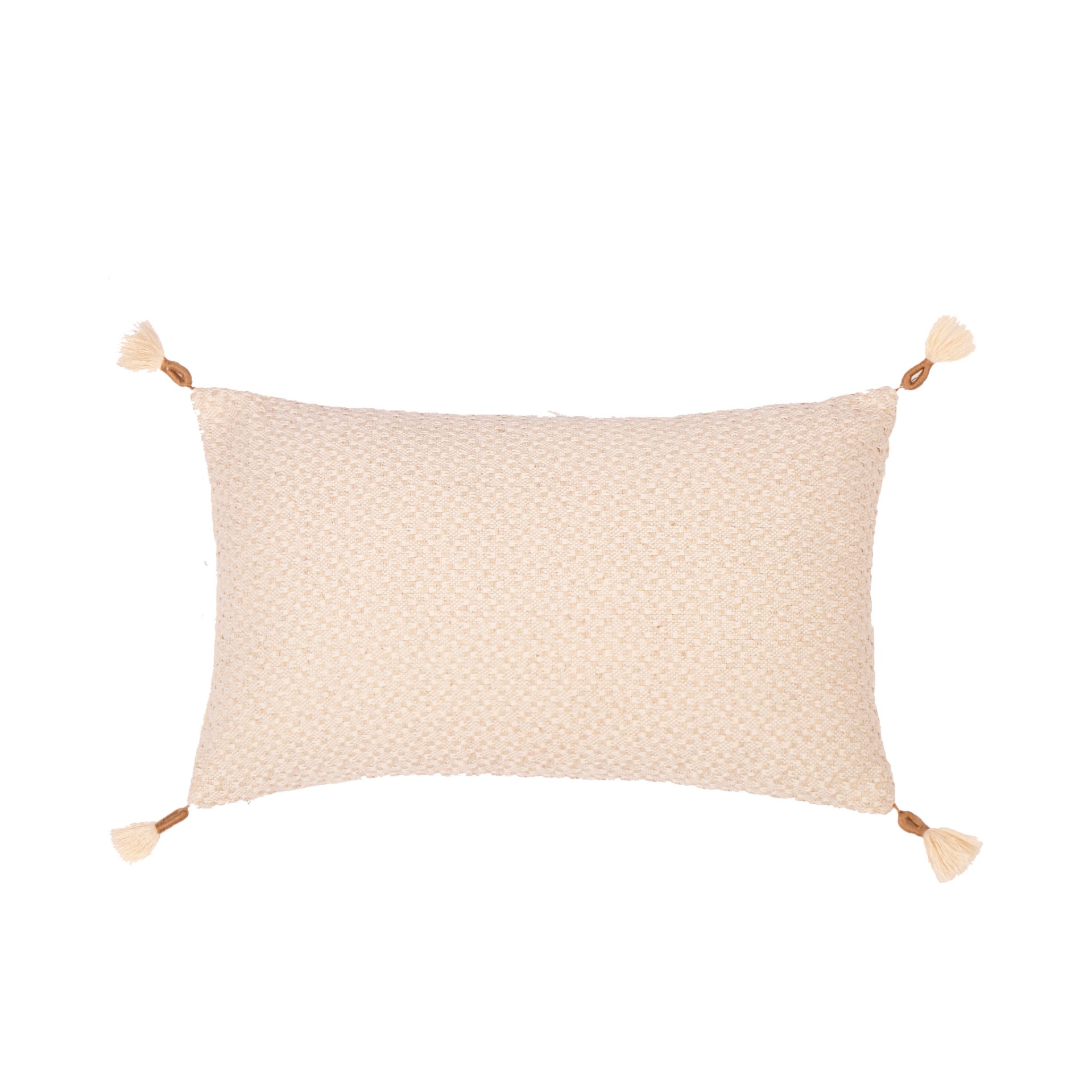 Almofada Poly 50x30