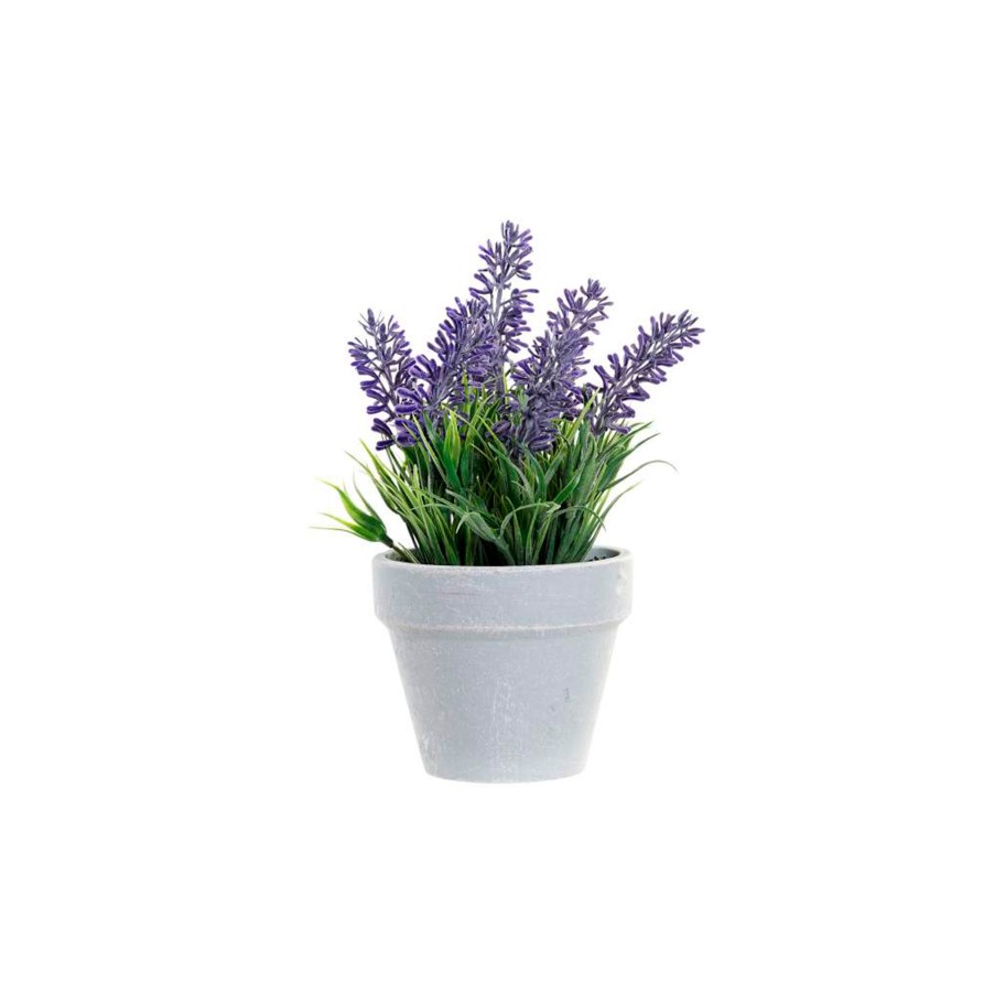 Vaso Lavanda