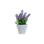 Vaso Lavanda