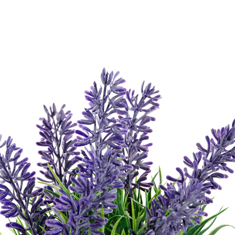 Vaso Lavanda