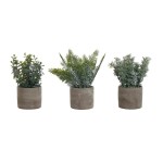 Planta em Vaso de Cimento 13x13x24 Sortida