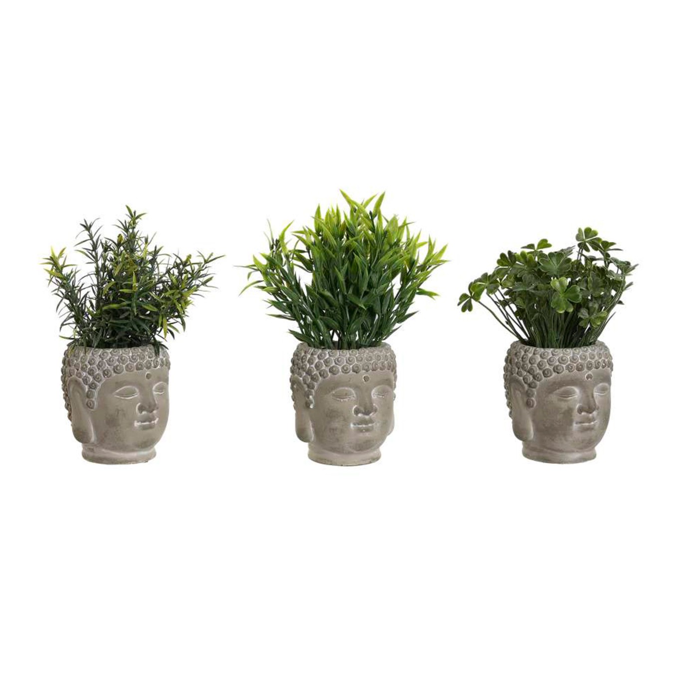 Planta em Vaso de Cimento Buda Sortida