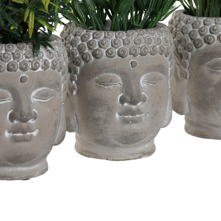 Planta em Vaso de Cimento Buda Sortida