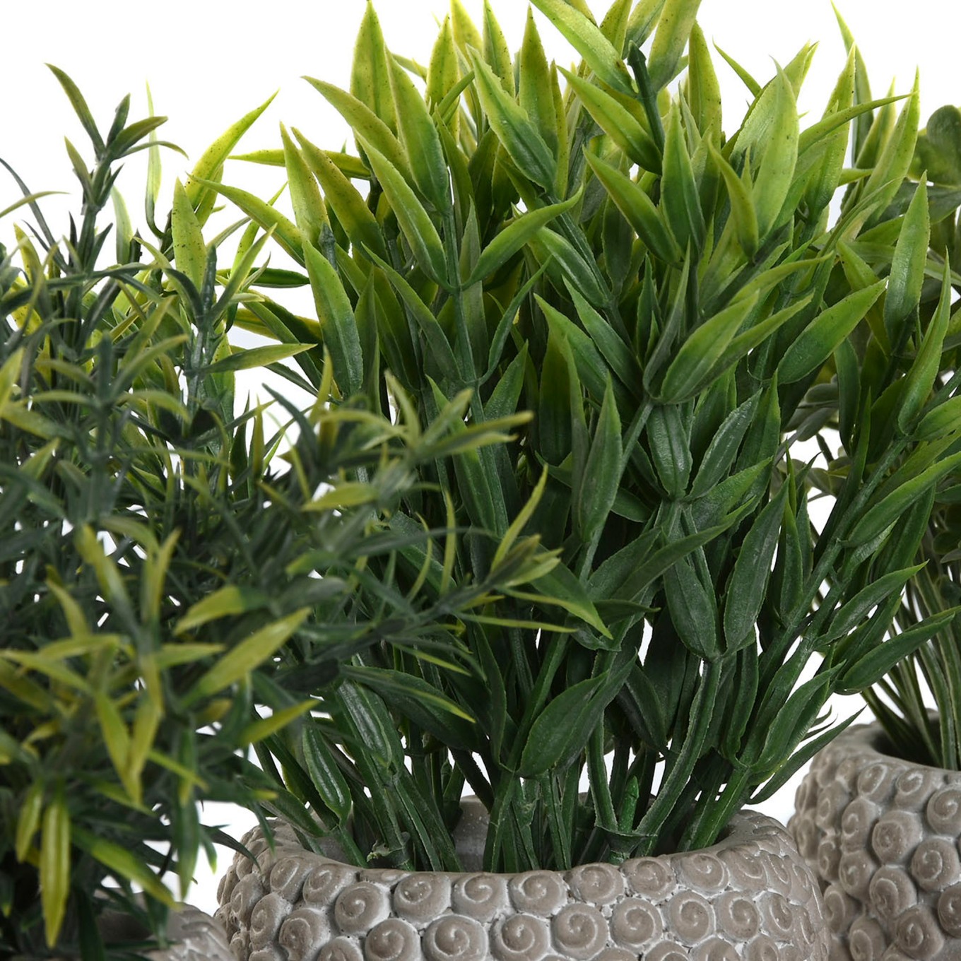 Planta em Vaso de Cimento Buda Sortida