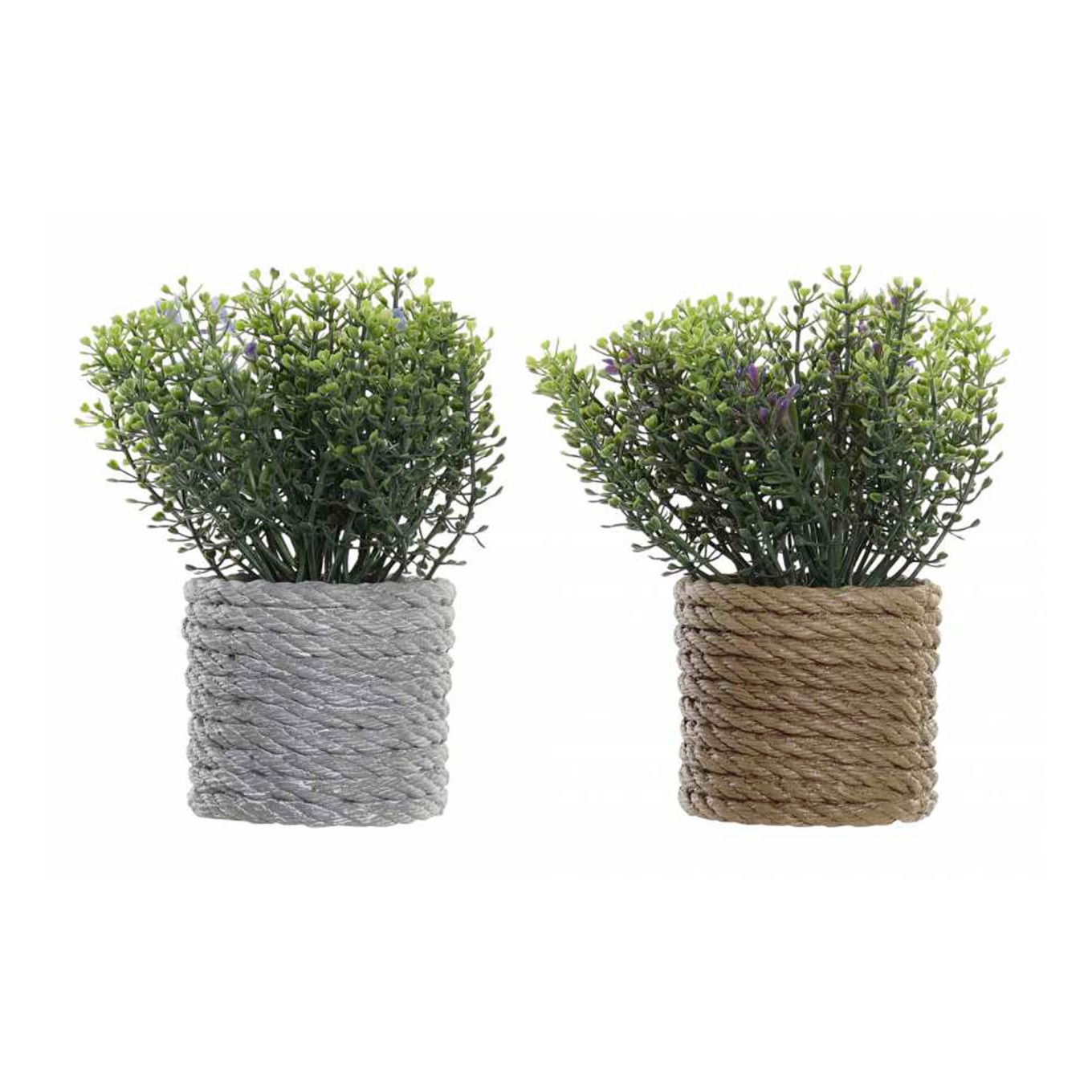 Planta 15x15x16 Sortida