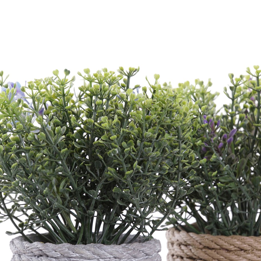 Planta 15x15x16 Sortida