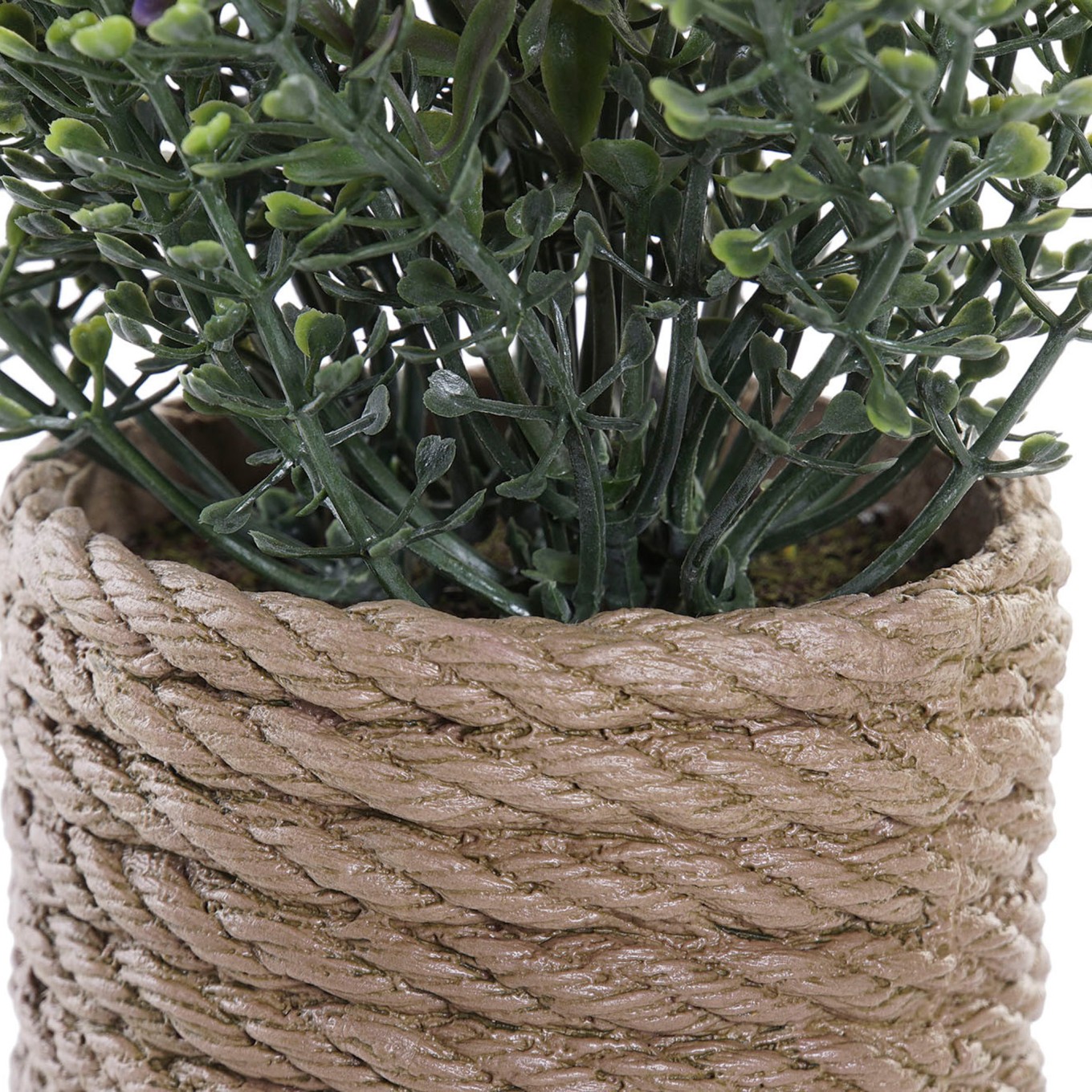 Planta 15x15x16 Sortida