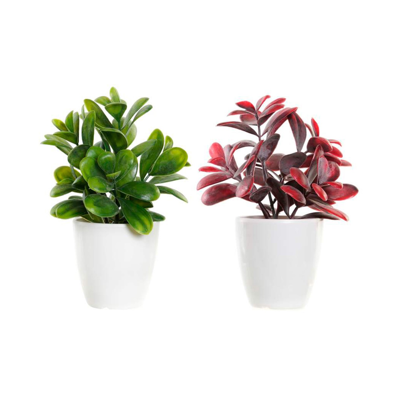 Planta Gr�s Sortida