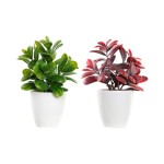 Planta Gr�s Sortida