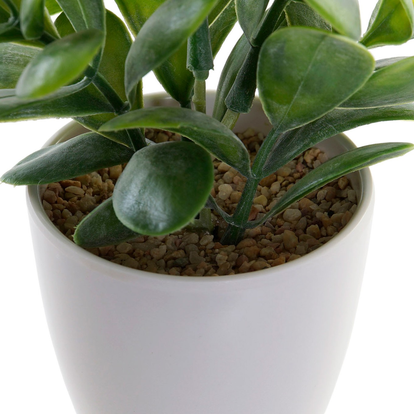 Planta Gr�s Sortida