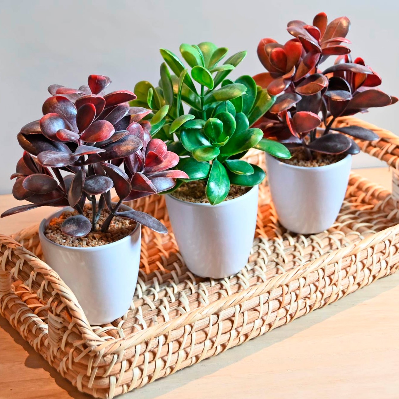 Planta Gr�s Sortida