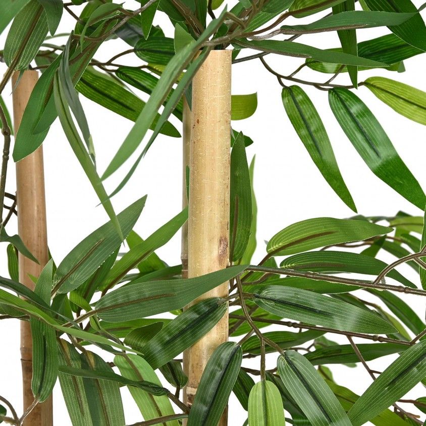 rvore Bambu com Vaso