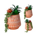 Planta em Vaso de Cimento 15cm Sortido