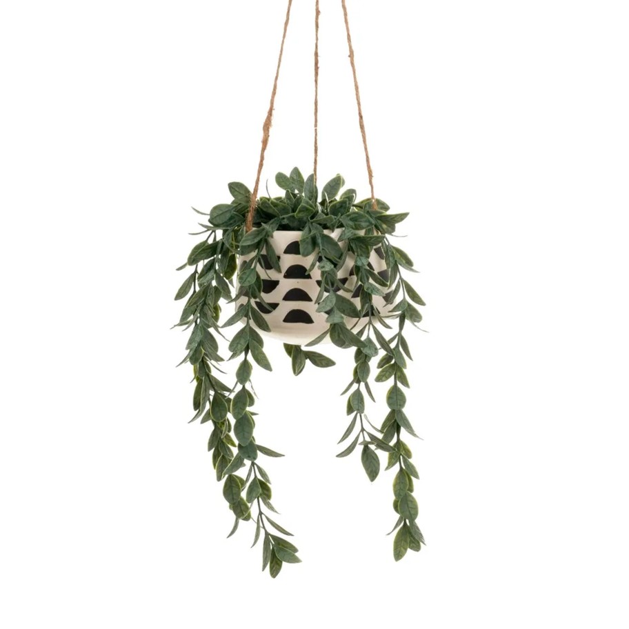 Planta Artificial Pendente 15x15x28cm