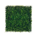 Jardim Vertical Bukszpan
