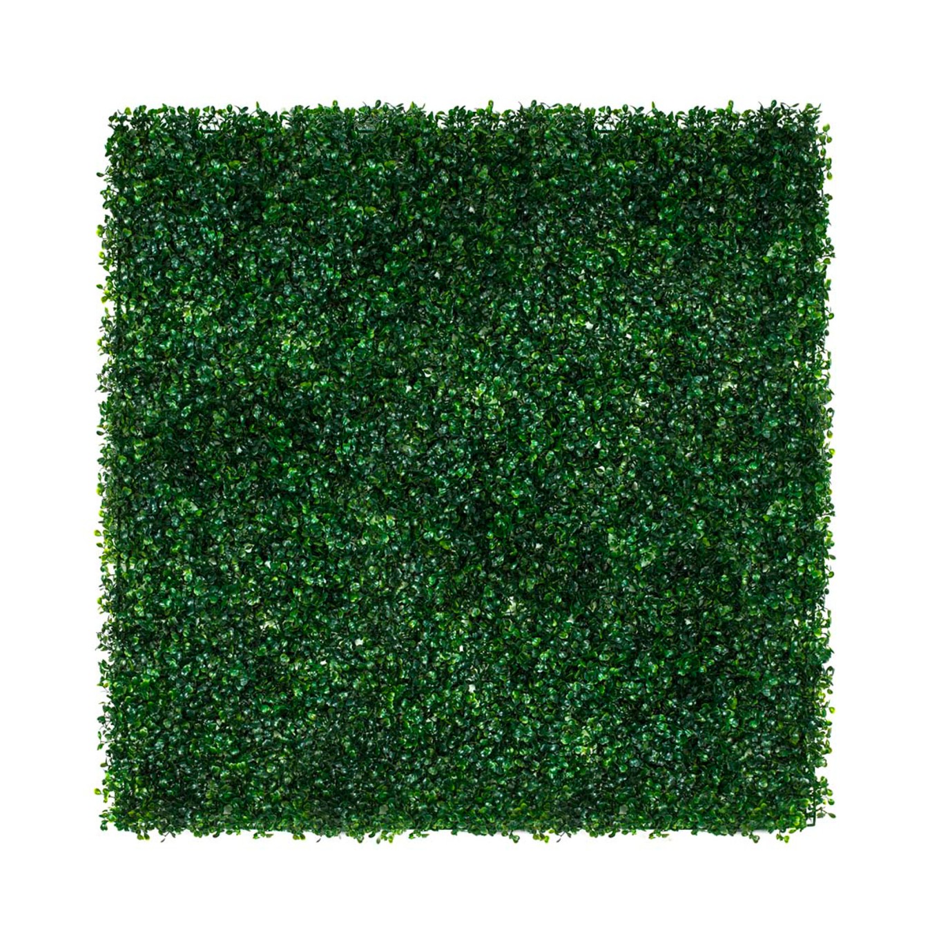 Jardim Vertical Bukszpan