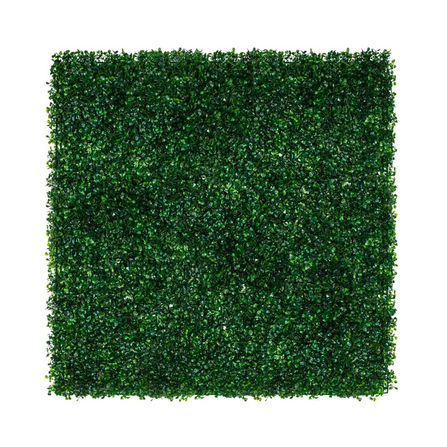 Jardim Vertical Bukszpan