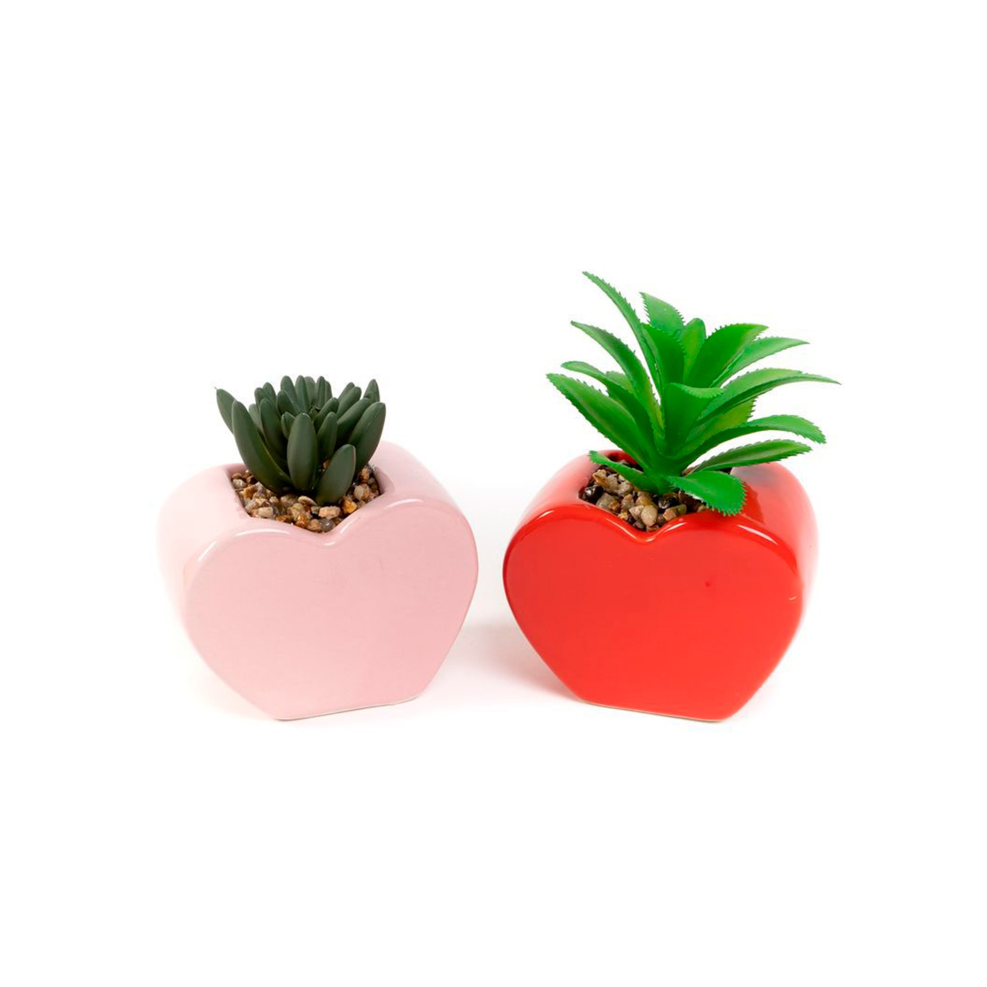 Vaso Cora��o Cactus Sortido