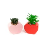 Vaso Coração Cactus Sortido