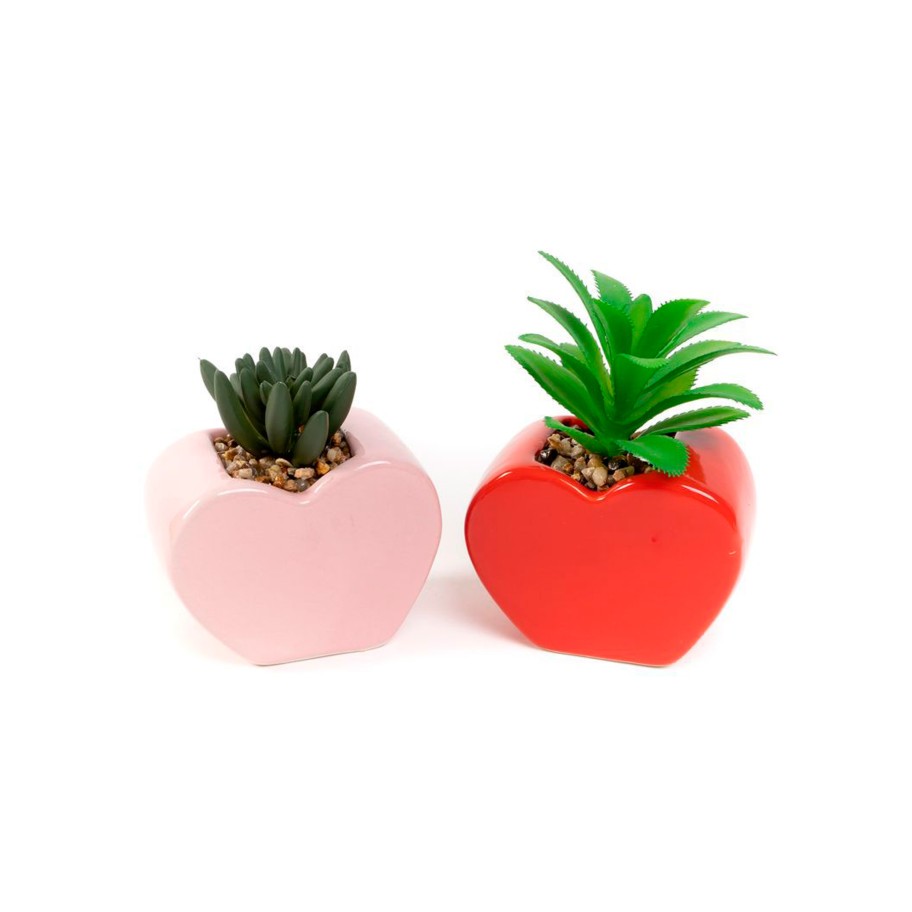 Vaso Cora��o Cactus Sortido