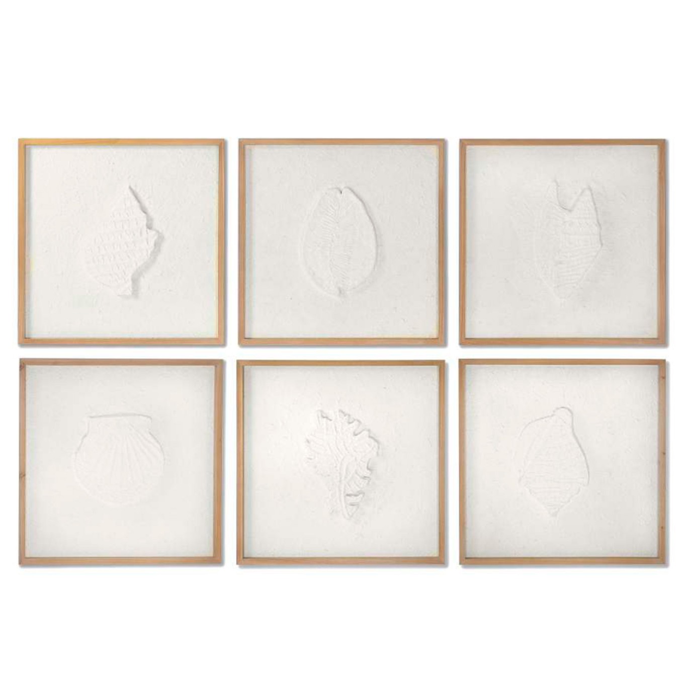 Quadro Conchas Sortido 6 Modelos