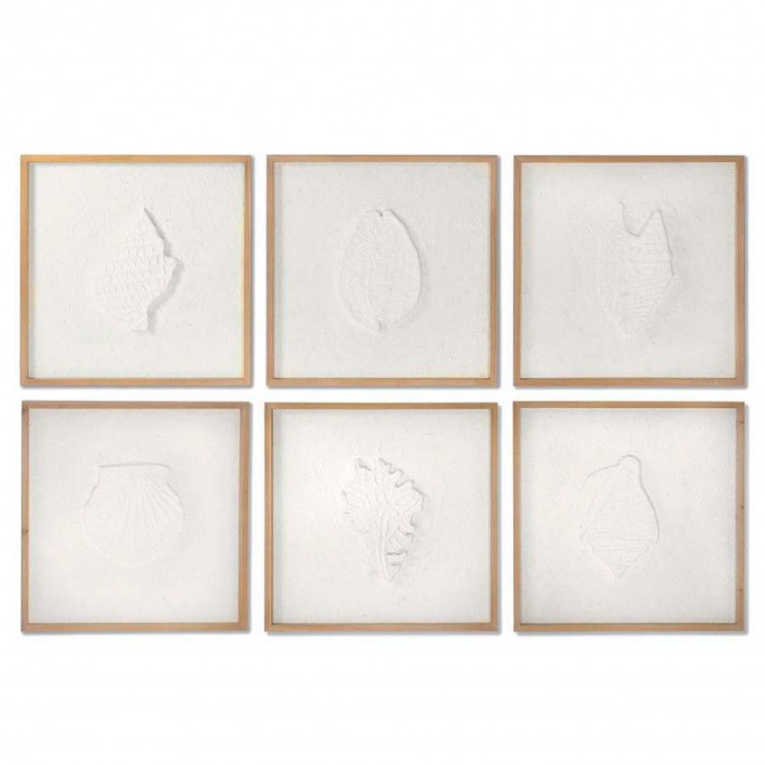 Quadro Conchas Sortido 6 Modelos